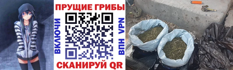 Галлюциногенные грибы GOLDEN TEACHER  Балахна 